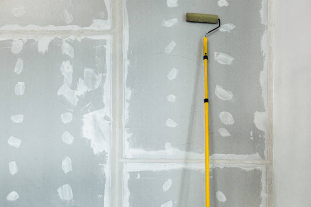 Professional Drywall & Painting Services in Grafton, OH